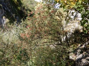 image128